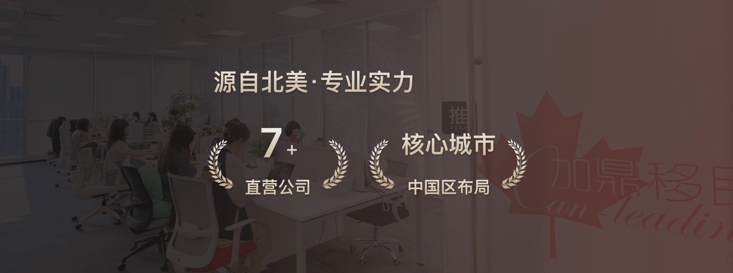 展示图片